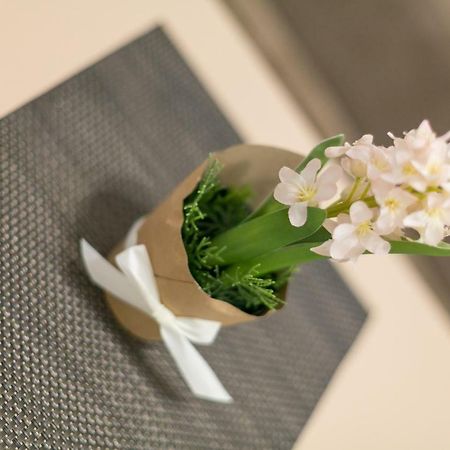 Apartment Dositejeva 13 Belgrad Zewnętrze zdjęcie